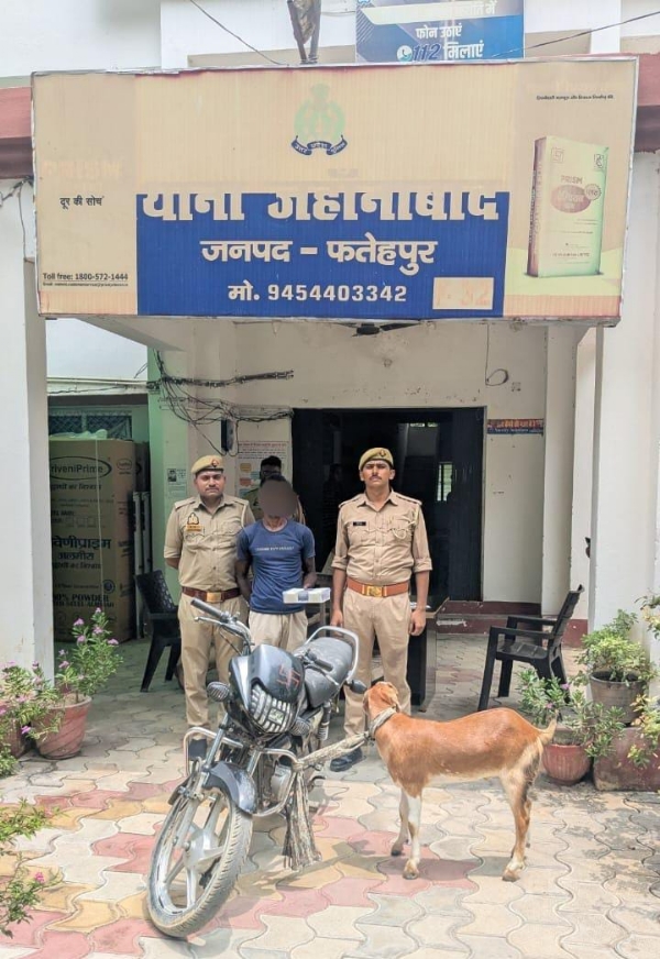 पुलिस की गिरफ्त में बकरा चोर