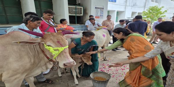 मुख्यमंत्री सहभागिता योजना के तहत 101 महिला पशुपालकों को सौंपी गईं गायें