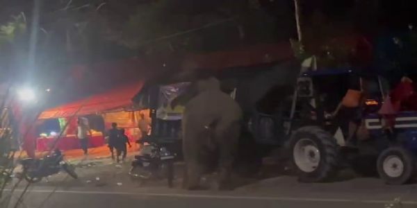 हरिद्वार-देहरादून रोड पर हाथियों का उत्पात, कांवड़ियों ने उकसाया, एक घायल