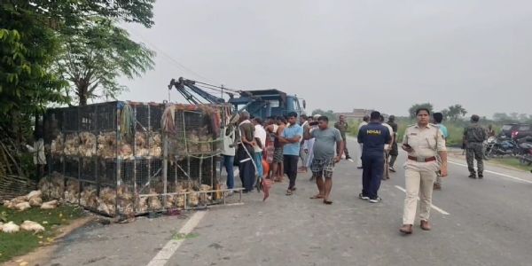 मुर्गा लदा पिकअप पेड़ से टकराया,चालक की मौत