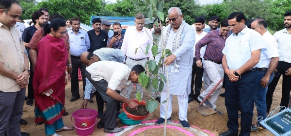 शिक्षा विभाग ने अब तक लगाए 2 करोड़ 78 लाख से अधिक पौधे, 22 लाख से अधिक पौधों की हुई जीओ टैगिंग