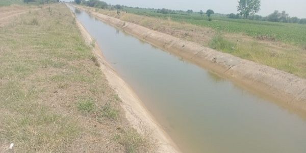 हरदा: नहर की भूमि का लंबे समय से हो रहा निजी उपयोग, किसान हो रहे मालामाल