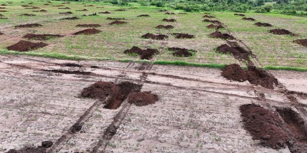 शिवपुरी में वन विभाग की बड़ी कार्रवाई, 110 बीघा वन भूमि अतिक्रमण से मुक्त
