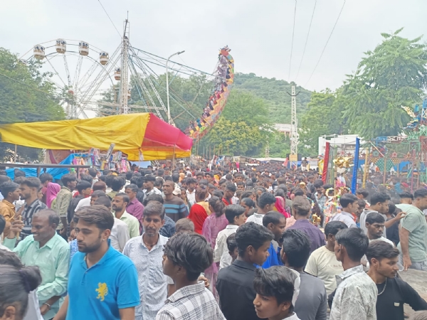 हरियाली अमावस्या मेले में झूलों की धमाल, मालपुओं का कमाल -उमड़ा उमंगों का सैलाब
