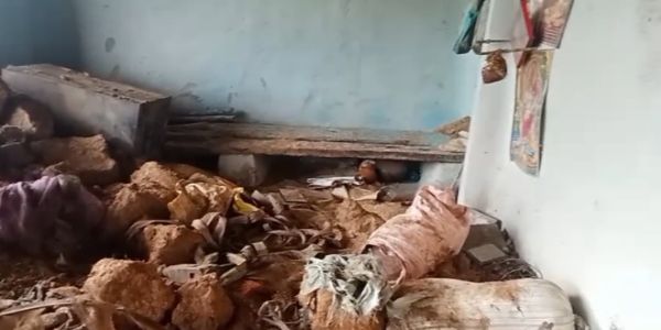 अंबिकापुर: मैनपाट में हाथियों का उत्पात, सप्ताहभर में आधा दर्जन मकानों पर धावा, अनाज और फसलों को किया बर्बाद