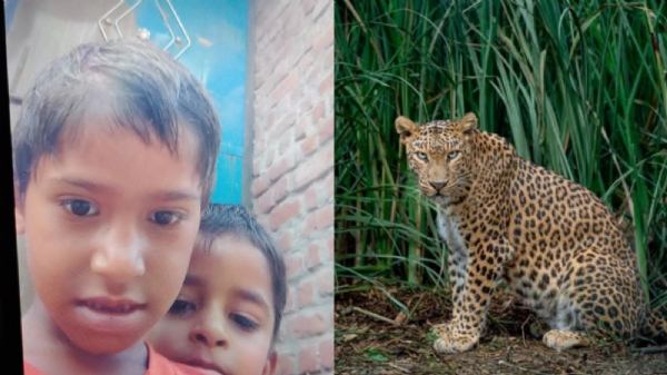 मासूम कनिका