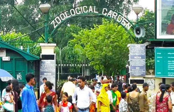 कोलकाता के प्रसिद्ध अलीपुर चिड़ियाघर