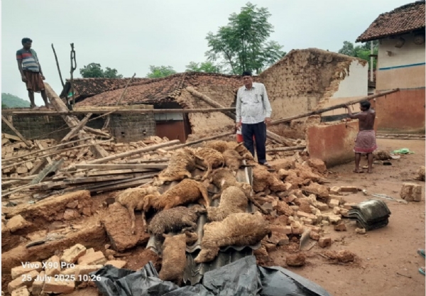 लगातार बारिश से गिरा मकान और मृत भेड़