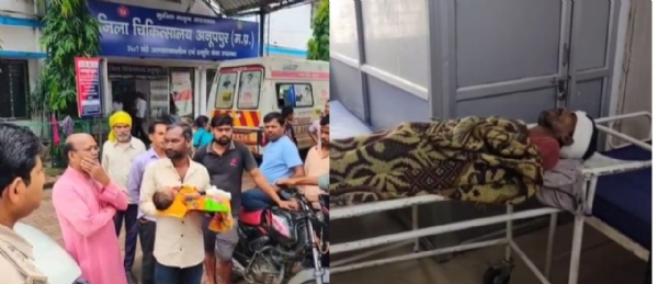 हाथी देखने छत पर चढ़े व्यंक्ति का शव  3 माह का बच्चे का पैर टूटा