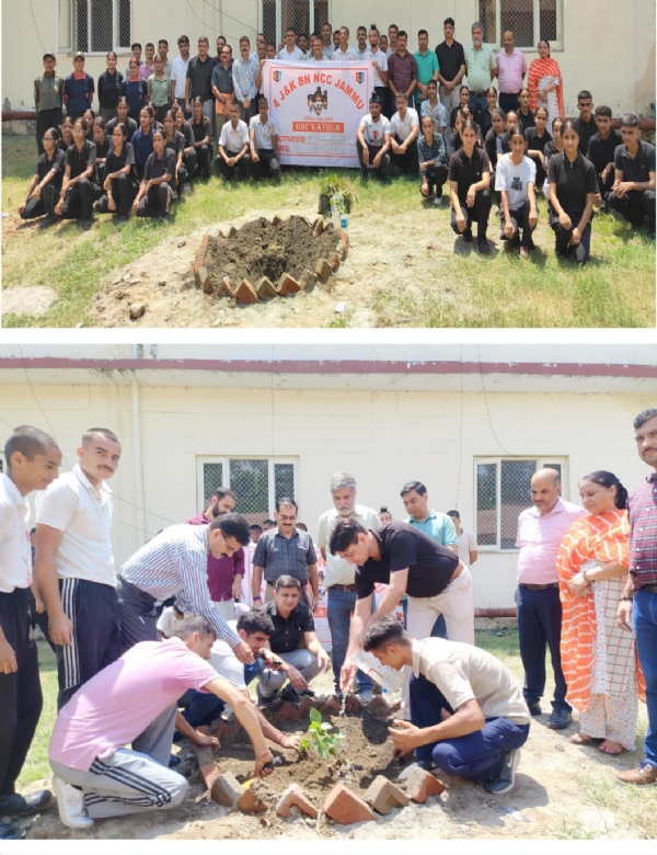 Tribute paid to Kargil martyrs by organising tree plantation drive
