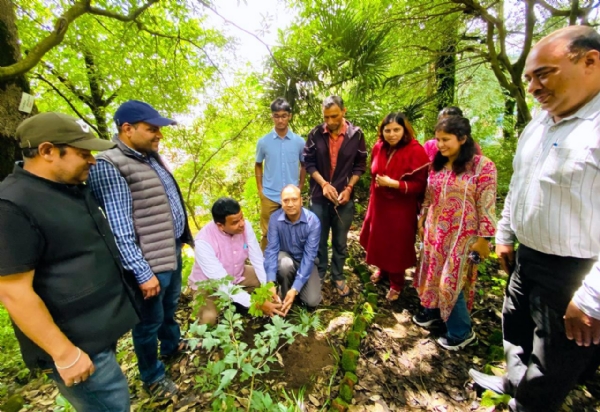 डीएसबी परिसर में पौधरोपण करते प्राध्यापक।