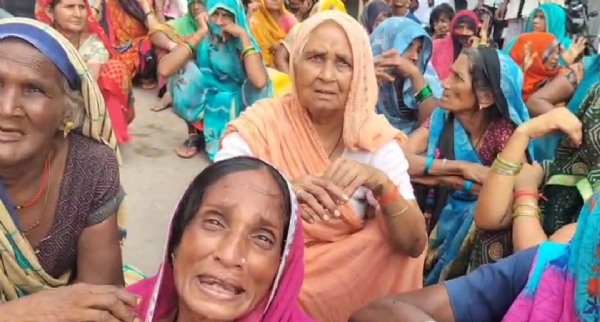 हमीरपुर में गधे के झुंड ने मासूम को रौंदा, मौत, परिजनों ने लगाया जाम