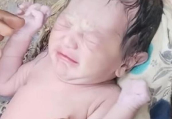 झाड़ी से बरामद लावारिस बच्ची