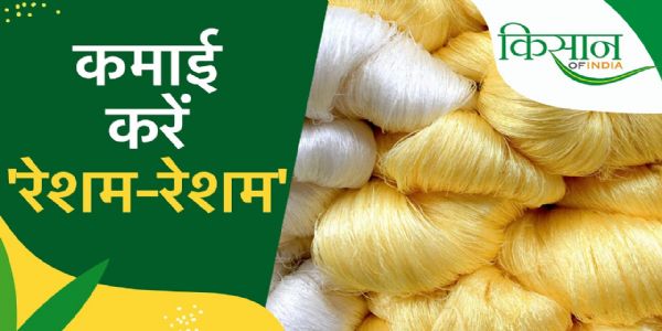 किसानों की तकदीर बुनेंगे रेशम के कीड़े, खुलेगी समृद्धि की राह