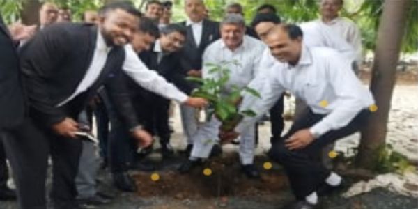 प्रकृति संरक्षण दिवस पर अधिवक्ताओं ने निभाई हरित भूमिका