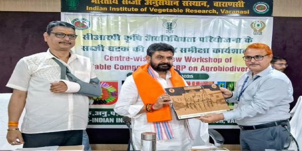 सब्जी उत्पादन में तकनीकी नवाचारों से टूटीं भ्रांतियां : दयाशंकर मिश्र