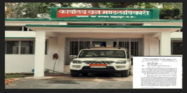 अनूपपुर: ताक पर रख कर दे दी तीन प्लाइवुड उद्योगों को प्रभारी डीएफओ ने अनुमति