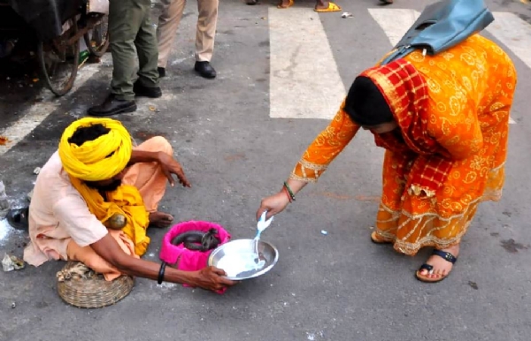 कानपुर में खेरेपति मंदिर में नाग को दूध पिलाती महिला श्रद्धालु का छायाचित्र