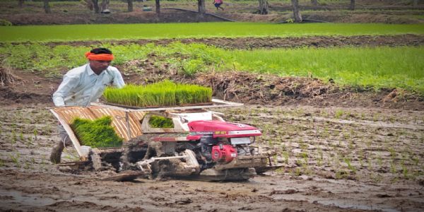 छत्‍तीसगढ़ के क‍िसान अब आधुनिक पैडी ट्रांसप्लांटर मशीन से रोपाई कर बचा रहे अपना पैसा और समय