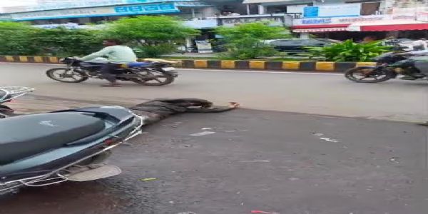 भ्रष्टाचार के खिलाफ सडक पर लोटन यात्रा कर जनसुनवाई में पहुंचा युवक