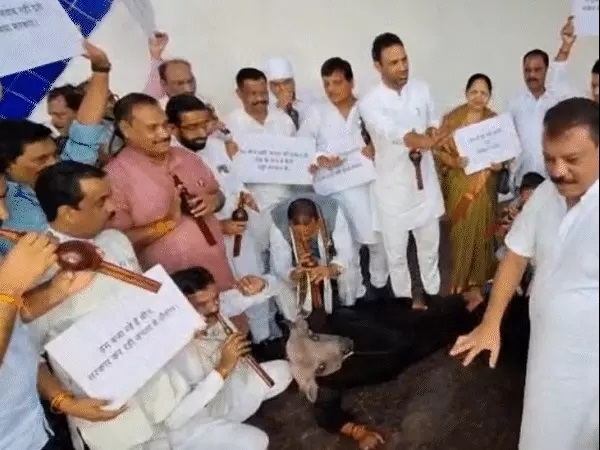 भैंस के गेटअप में विधानसभा पहुंचे कांग्रेस विधायक