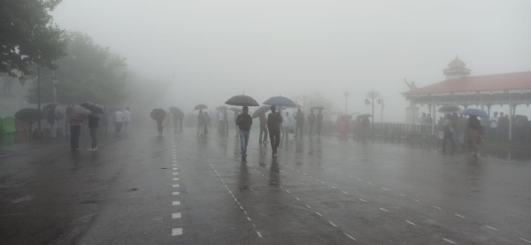 शिमला में वर्षा