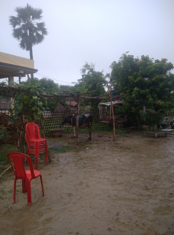 बारिश से बरोबर धरती।