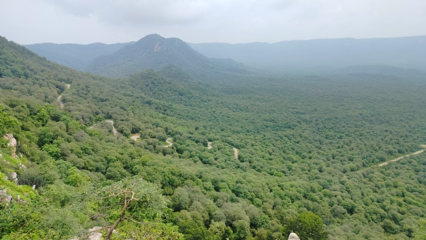 Alwar