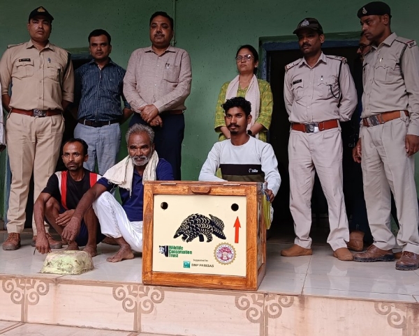 सोशल मीडिया पर वायरल वीडियों के सहारे पैंगोलिन के तस्करों तक पहुंचा वन विभाग