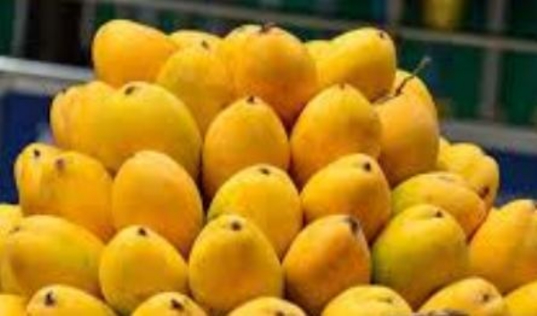 आम महोत्सव