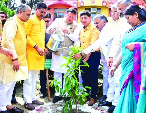 पौधारोपण करते सीएम धामी