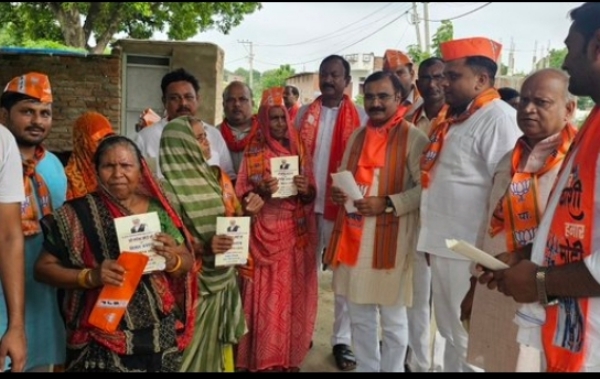 गांव में जनसंपर्क करते भाजपा के क्षेत्रीय पदाधिकारी ( वीडियो से ली गई फोटो)