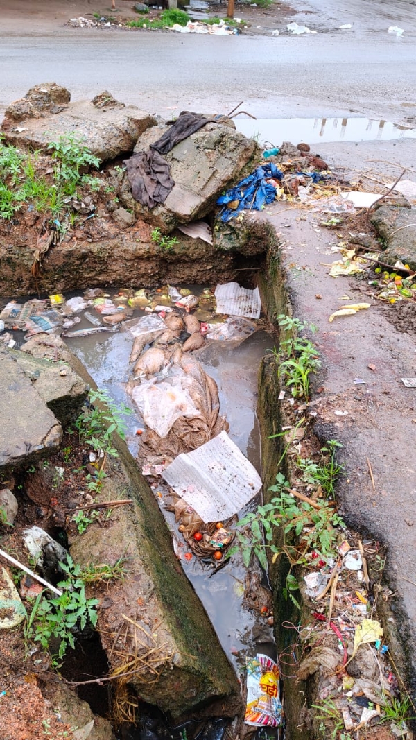 गंदगी से बजबजाती नालियां