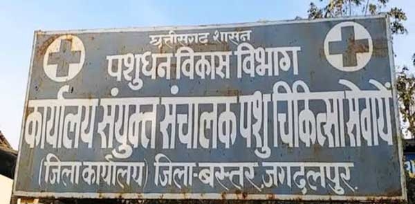 सयुंक्त संचालक पशु चिकित्सा सेवाएं  जगदलपुर