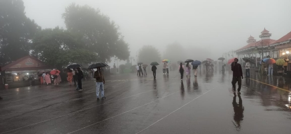 शिमला में वर्षा