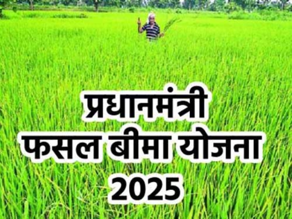 उद्यानिकी फसलों के लिए फसल बीमा आवेदन 31 जुलाई तक