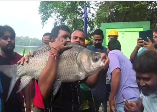 प्रथम पुरस्कार स्वरूप 51 हजार रुपये