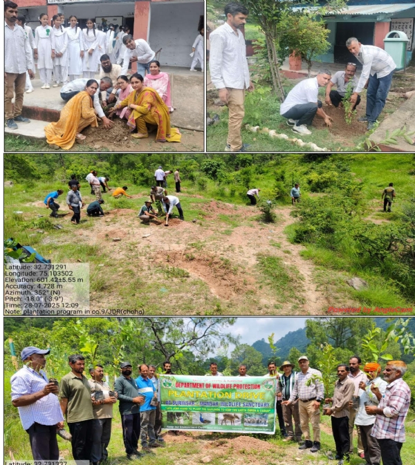 Van Mahotsav Celebration-Voluntary tree plantation drive conducted by Wildlife Wardens