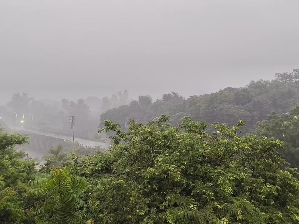 शाजापुर : जुलाई के महीने में नौ इंच बरसे बदरा, तेज बारिश का अभी भी इंतजार