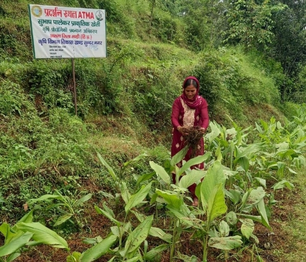 जैव आदान संसाधन केंद्र के माध्यम से कृषि करते हुए।