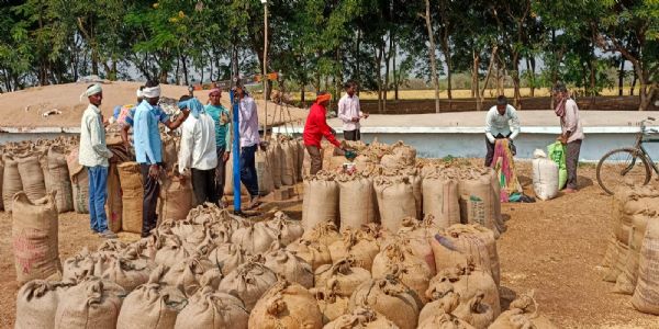 21 धान खरीद केंद्रों में बनाए जाएंगे 200 मीट्रिक टन के गोदाम