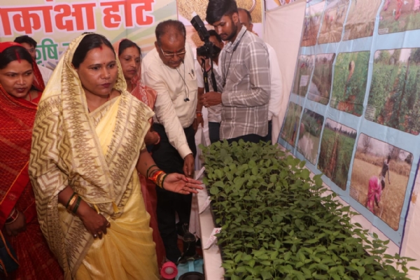 आकांक्षी विकासखंड कार्यक्रम के अंतर्गत संपूर्णता अभियान सम्मान समारोह का किया गया आयोजन