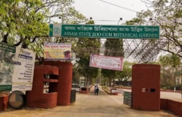 चिड़ियाखाना।