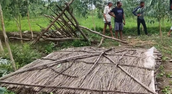खेतों हुए नुकसान को दिखाते किसान