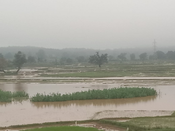 दस घंटे की झमाझम बारिश से अम्बिकापुर बेहाल