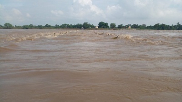 शिवनाथ नदी में आई बाढ़