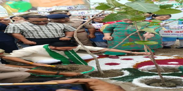 कैबिनेट मंत्री अनिल कुमार के नेतृत्व में हुआ 72 लाख से अधिक पौधरोपण