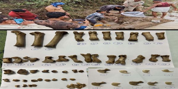 सिवनीः बाघ के अंगों की तस्करी करते हुए छह आरोपित गिरफ्तार, पूछताछ जारी