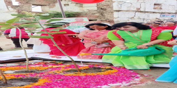राज्यमंत्री ने पौधरोपण कर पर्यावरण संरक्षण का दिया संदेश