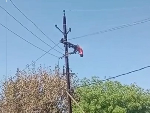 भिण्‍ड: बिजली कंपनी का आउटसोर्स कर्मचारी करंट की चपेट में आने से हालत गंभीर